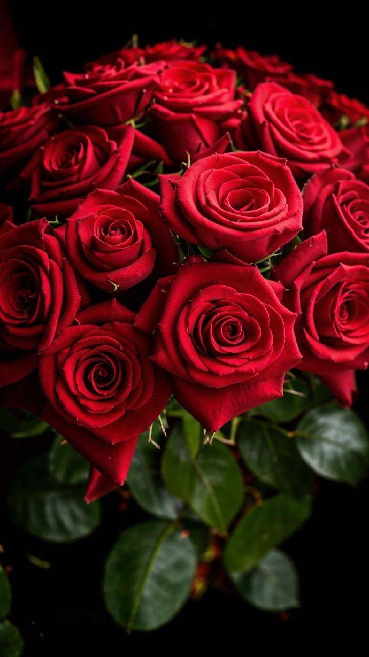 Corporate meeting room with carefully timed floral arrangements that maintain elegance throughout business hours